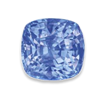 cornflower
